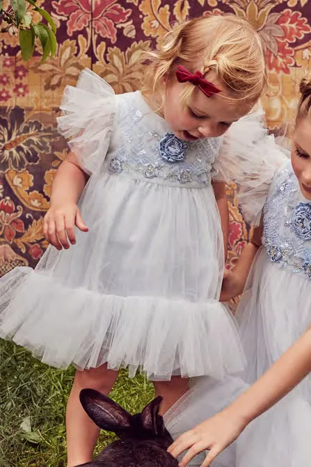 Tutu Du Monde Baby Girls Dress Silver Sky Tulle